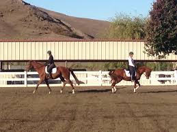 Testing horse Hotel maps