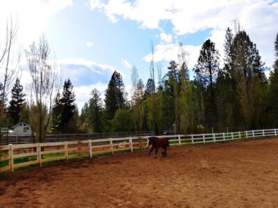 Fair Valley horse hotel